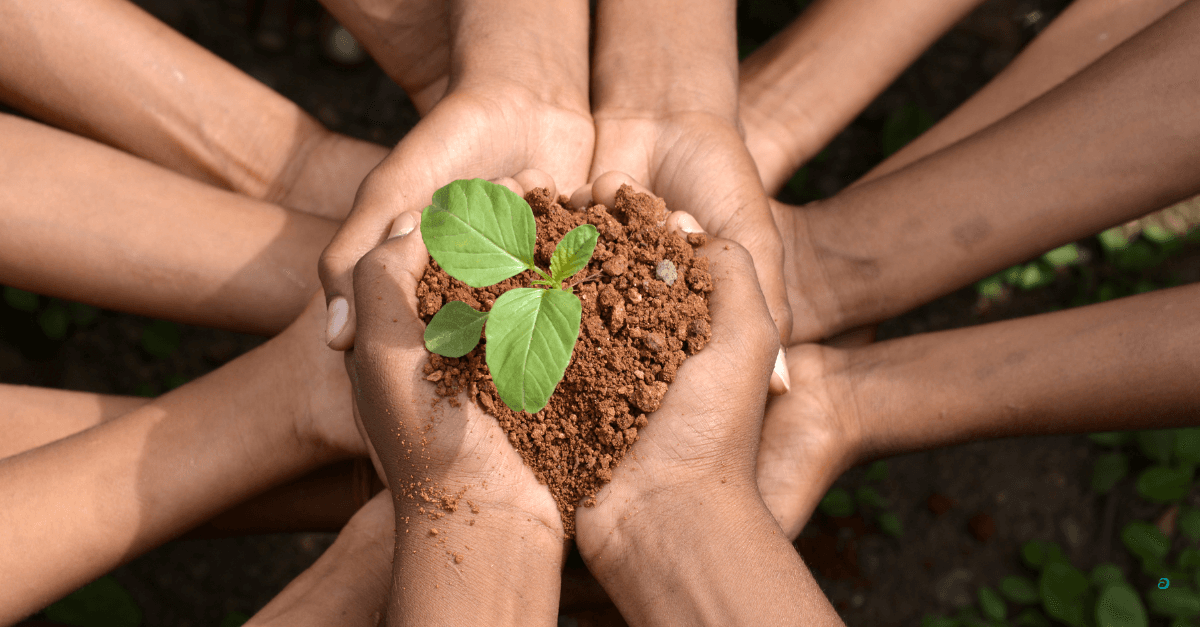 Community project