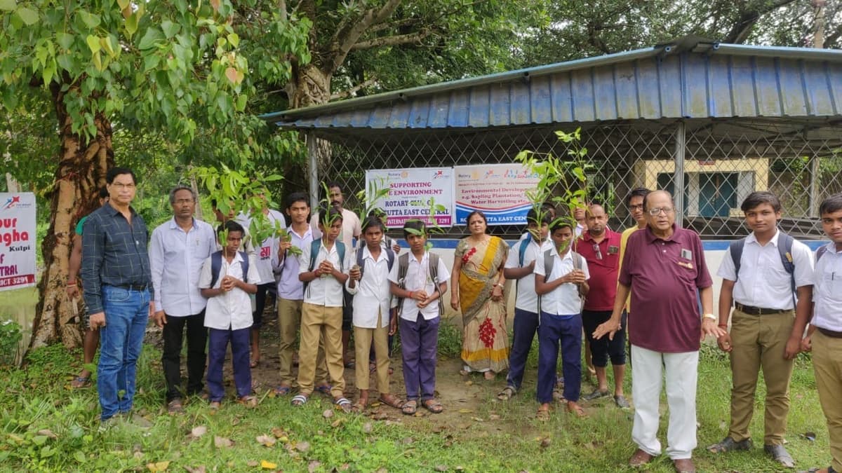 Tree Plantation Drive